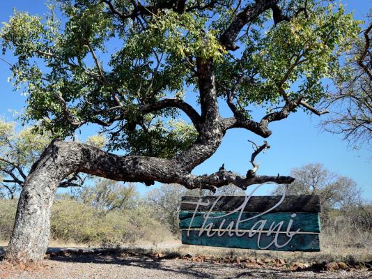 Thulani Game Lodge & Eco Estate - 181282