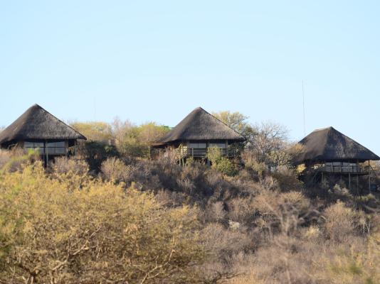 Thulani Game Lodge & Eco Estate - 181291