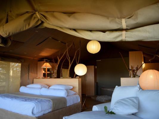 Thulani Game Lodge & Eco Estate - 181315