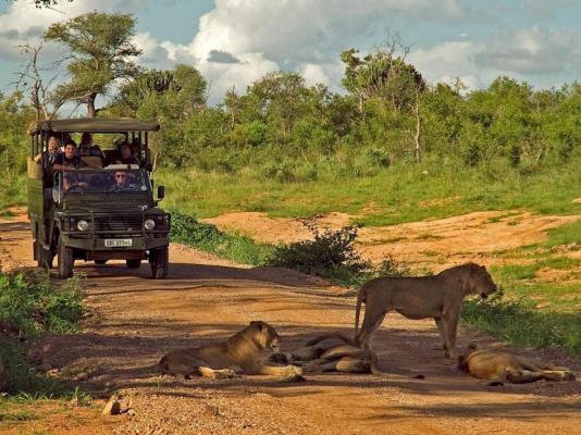 Mjejane River Lodge - 182083