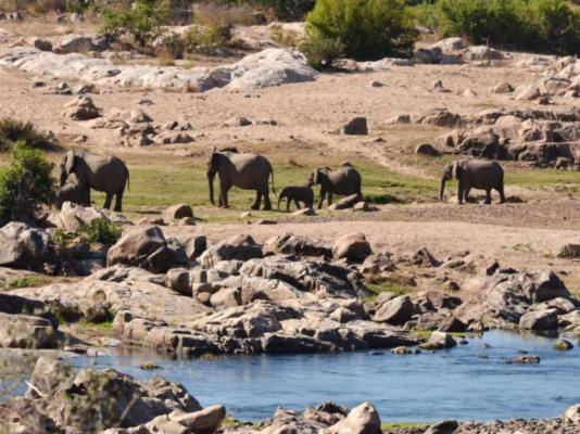 Mjejane River Lodge - 182084