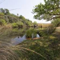 Palala River Cottages - 182315