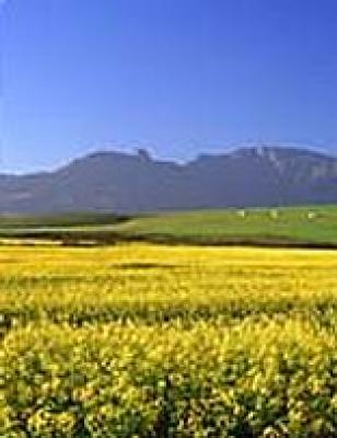 Towns in the Overberg