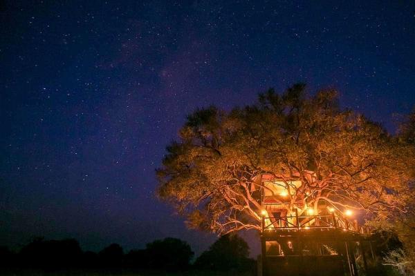 The Hide - Hwange National Park - 184077