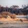 The Hide - Hwange National Park - 184079