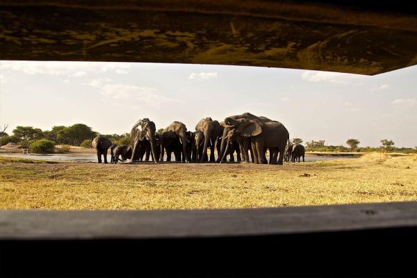 The Hide - Hwange National Park - 184089