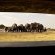 The Hide - Hwange National Park - 184089