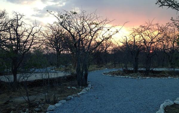 Etosha Village Camp Site - 184983