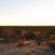Etosha Village Camp Site - 184986