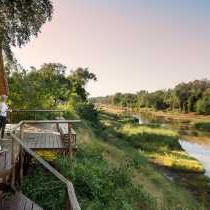 Pafuri Tented Camp - 185028