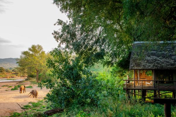 Pafuri Tented Camp - 185041