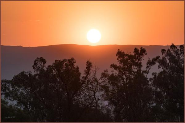 Grey Goose Game Lodge - 185533