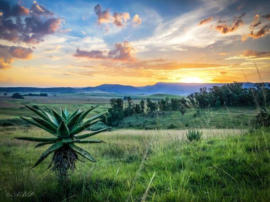 Grey Goose Game Lodge - 185544