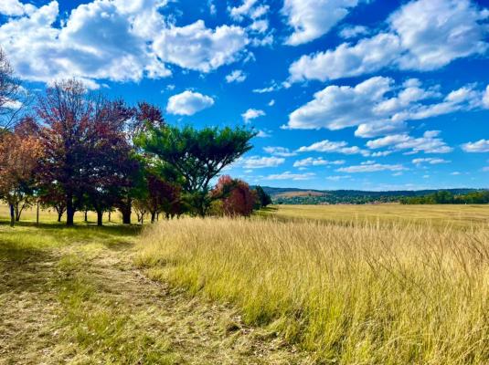 Grey Goose Game Lodge - 185565