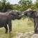 Thandolwami Bushlodge - 186112 Thandolwami Bushlodge - 186112