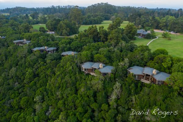 Tsala Treetop Lodge 