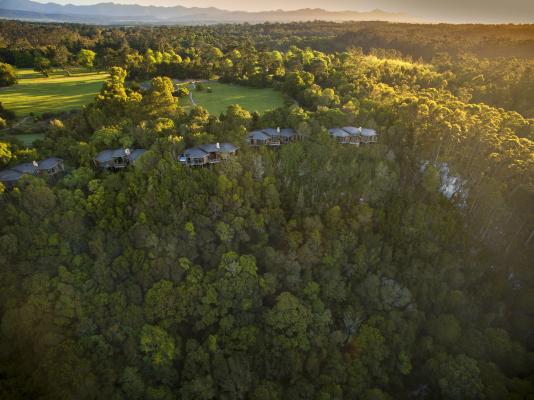 Tsala Treetop Lodge 