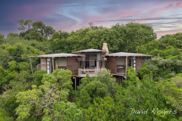 Tsala Treetop Lodge 