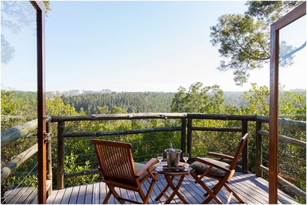 Tsala Treetop Lodge - Suites