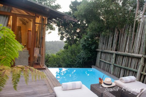 Tsala Treetop Lodge - Suites