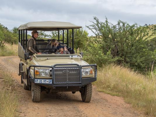 Game drive