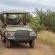 Game drive