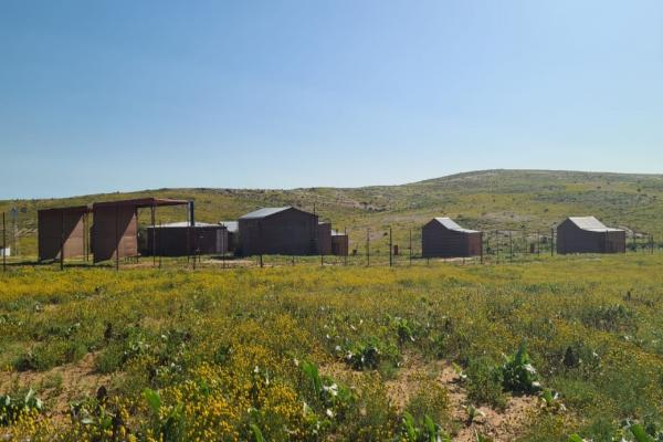 Kallabaskop Lodge - 188044