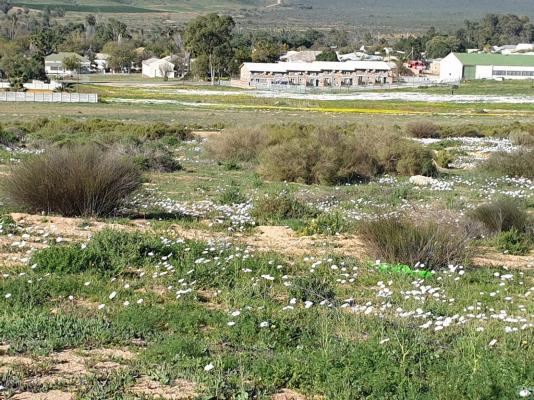 Clanwilliam Accommodation - 188252