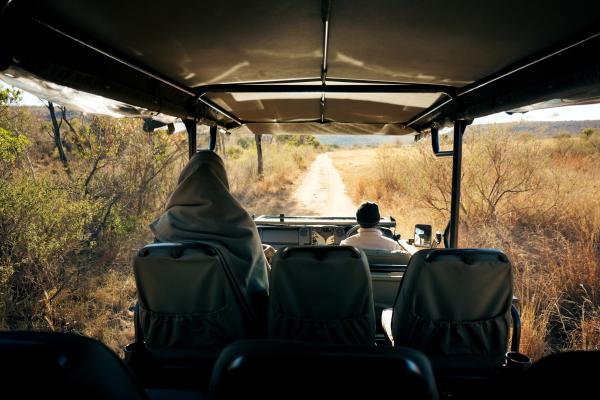 Game Drive View