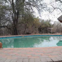 Bushveld Bliss - 190352