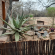 Bushveld Bliss - 190353