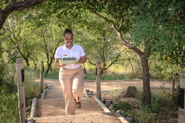 Madwaleni River Lodge - 191021