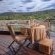 Madwaleni River Lodge - 191056