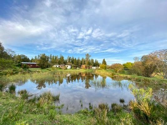 Bella Manga Country House - 191333