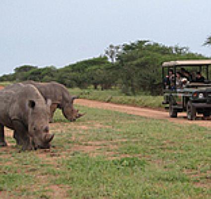 Nyala Safari Lodge