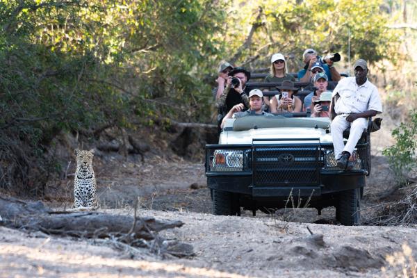 Elephant Plains Game Lodge - 191603