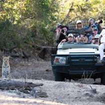 Elephant Plains Game Lodge - 191603