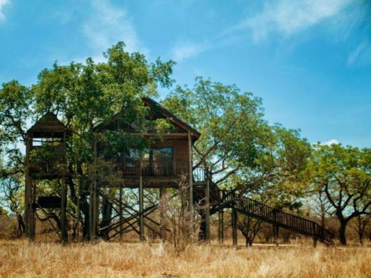 Pezulu Tree House Lodge - 191955