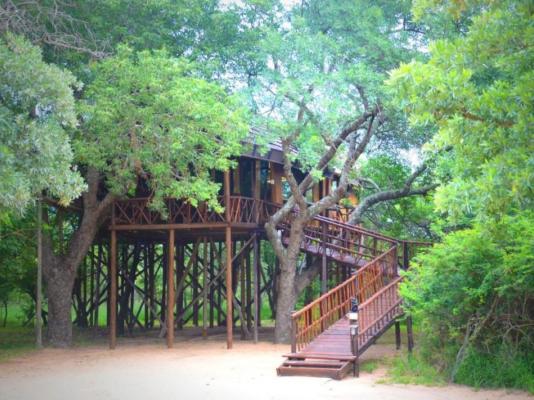 Pezulu Tree House Lodge - 191965