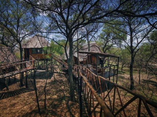 Pezulu Tree House Lodge - 191977