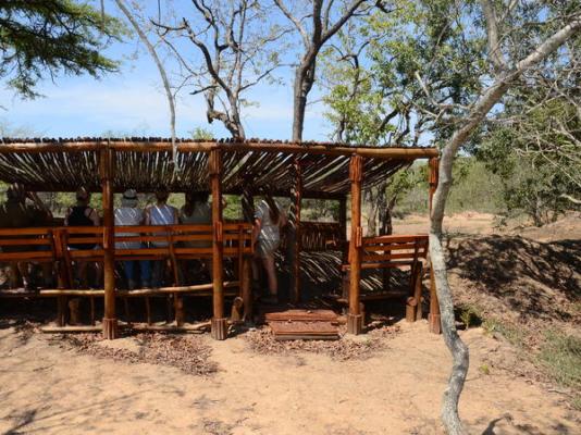 Pezulu Tree House Lodge - 191995