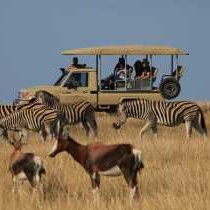 Botlierskop Private Game Reserve - 192053