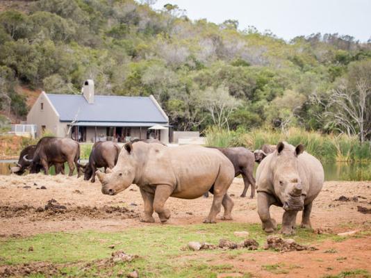 Botlierskop Private Game Reserve - 192055