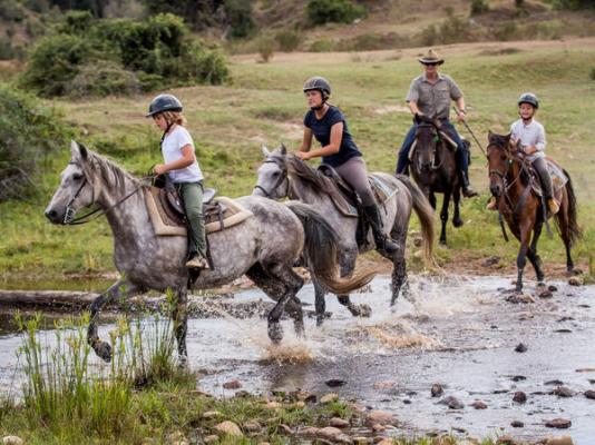 Botlierskop Private Game Reserve - 192056