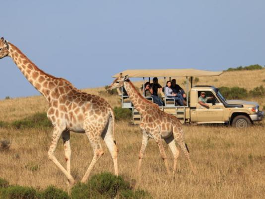 Botlierskop Private Game Reserve - 192058