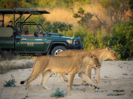 Jock Safari Lodge - 192105