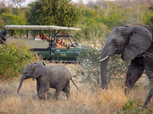 Jock Safari Lodge - 192116