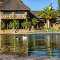 Lapa Lange Game Lodge - 192574