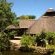Inkwenkwezi Private Game Reserve - 193048