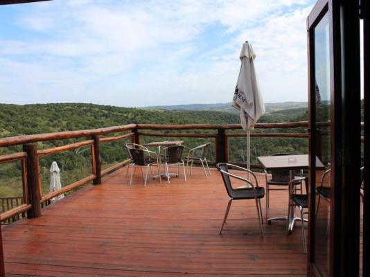 Inkwenkwezi Private Game Reserve - 193055